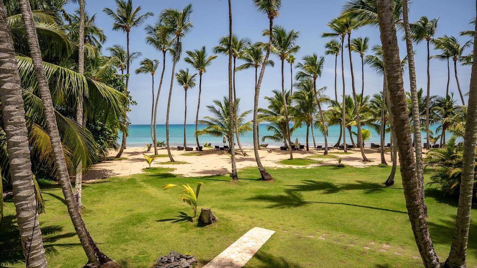 Jardín con palmeras a pie de playa en Playa Cosón, Las Terrenas